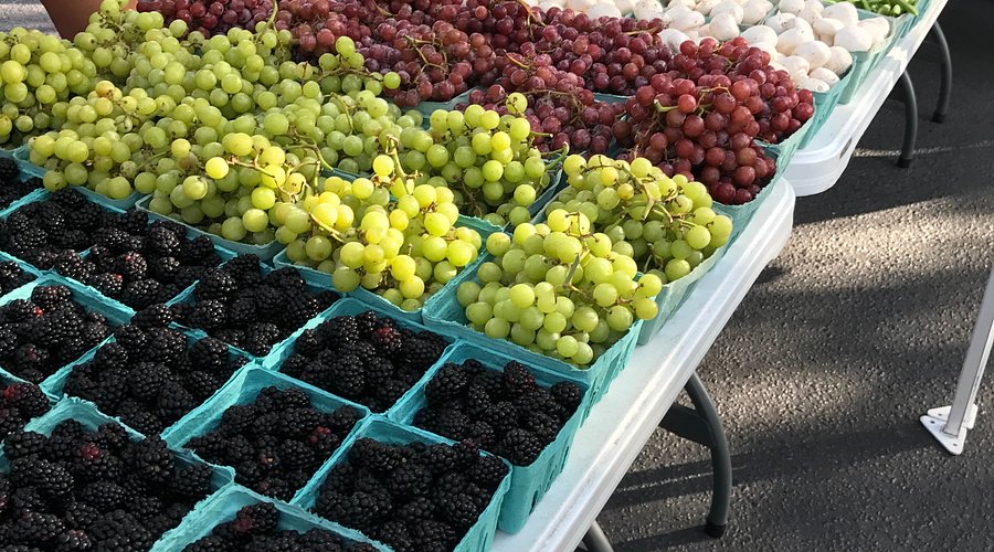 Farm-to-Table Southern Style: Seasonal Cooking with Local Ingredients