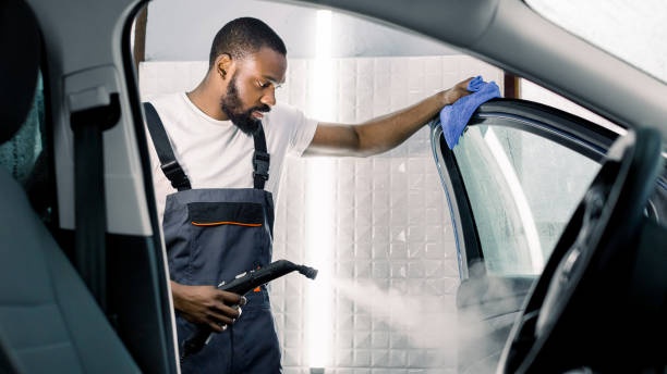 Professional steam cleaning auto detailing service