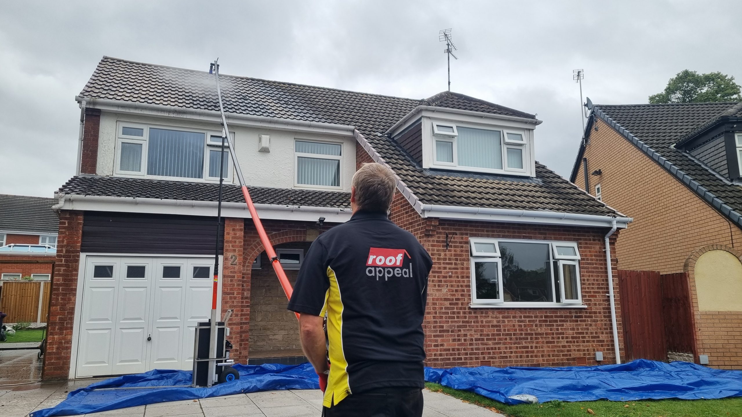 Roof Cleaning
