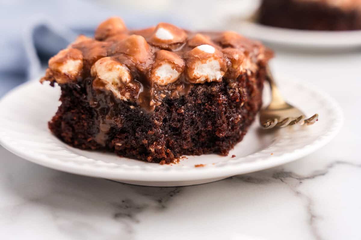 Mississippi Mud Cake